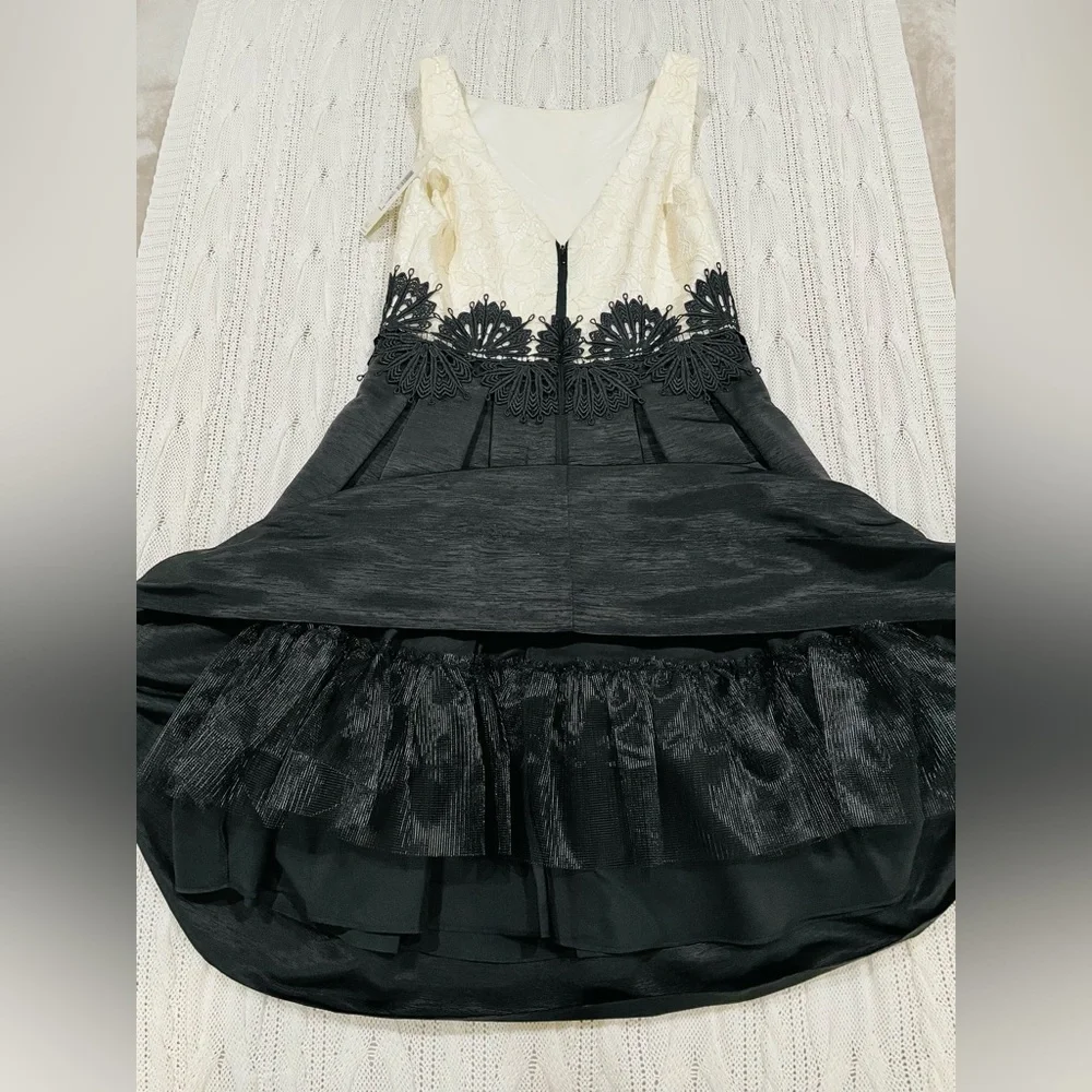 NWT Eliza J Black & White Lace Fit and Flare Midi Dress - Picture 3 of 15